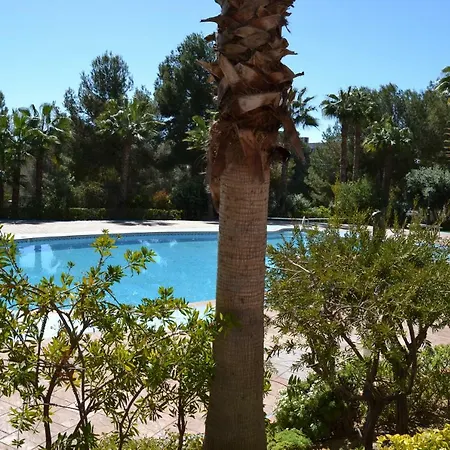 Apartment Lovely Familiar With Pool In Cap *